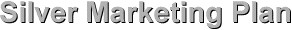 silver website marketing plan